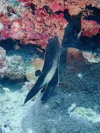 P1080009.JPG