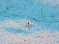 P1090067.JPG