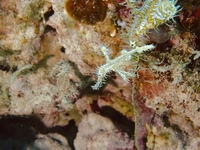 P1100003.JPG