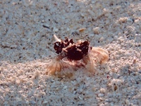 P1100037.JPG