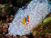 P1250020.JPG