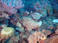 P1260004.JPG