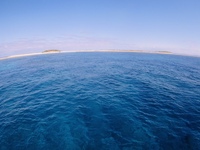 P2250020.JPG