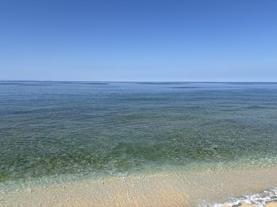 IMG_8616.JPG