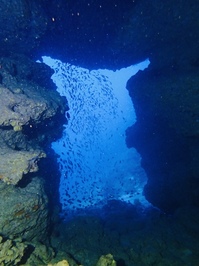 P3120001.JPG