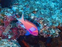 P3150003.JPG