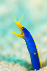 04953BBB-8D73-46D3-A1F5-382F9ABC6127.PNG