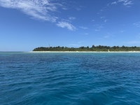 IMG_8812.JPG