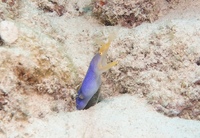 IMG_8828.JPG