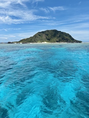IMG_8864 2.jpg