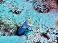 IMG_8903.JPG