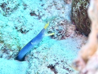 IMG_8919.JPG