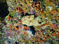 IMG_0254.JPG