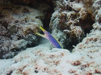 IMG_0328.JPG