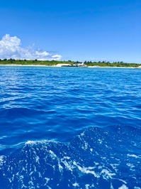 IMG_91jkl01.JPG