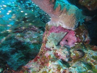 IMG_0350.JPG