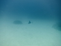 IMG_0370.JPG