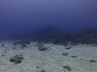 IMG_0435.JPG