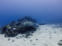 IMG_0436.JPG