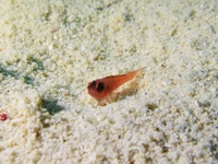 IMG_0470.JPG