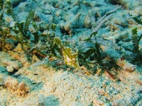 IMG_0475.JPG