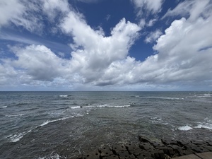 IMG_9246.JPG