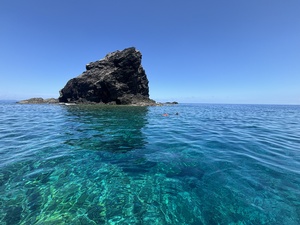 IMG_9294.JPG