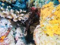 IMG_0544.JPG