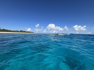 IMG_95x67.JPG
