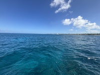 IMG_9732.JPG