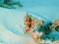 IMG_0685.JPG