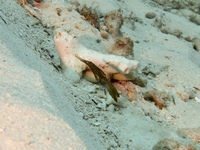 IMG_0690.JPG
