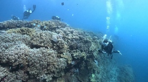 GPTempDowcvnload 7.JPG