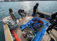 スクリーンショット 2025-12-23 17.16.54.png