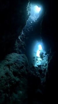 GPTempDownload 81f.JPG