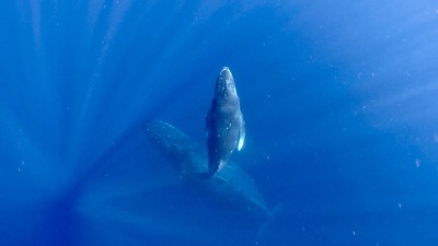 GPTempDownload k11.JPG