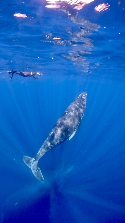 GPTempDownload k7.JPG