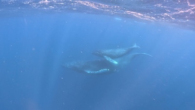 GPTempDooooownload 7.JPG