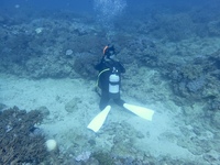 P1240006.JPG