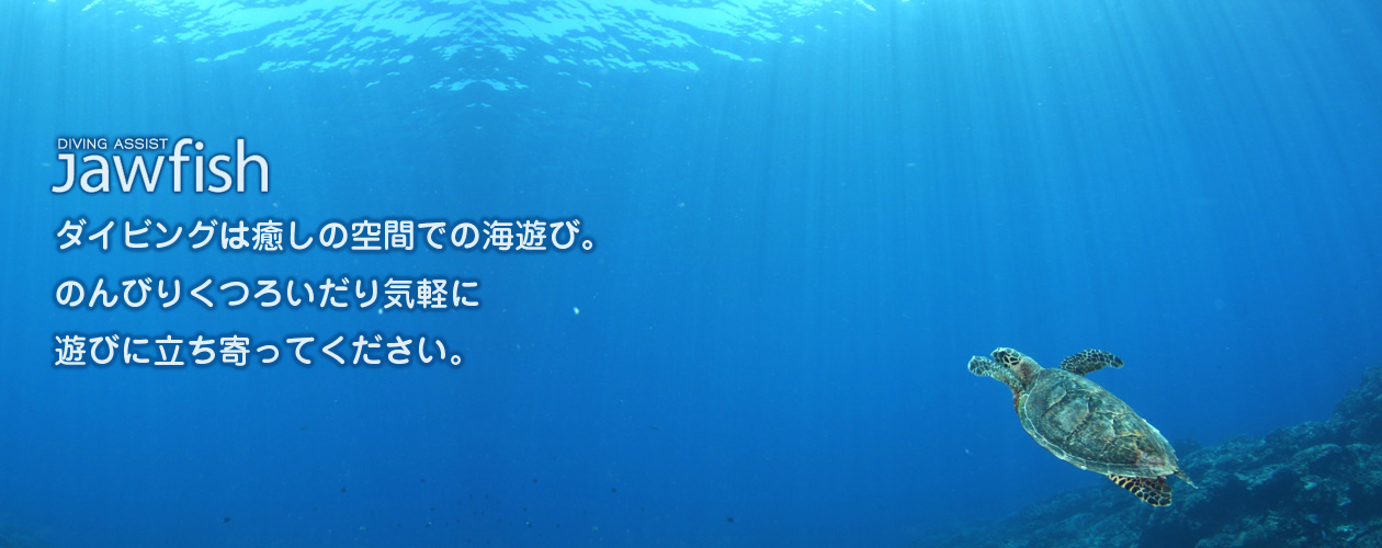 ダイビングは癒しの空間での海遊び。のんびりくつろいだり気軽に遊びに立ち寄ってください。