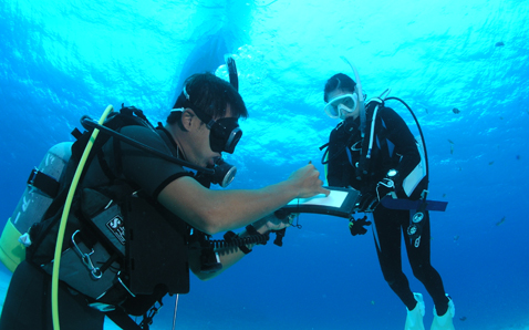 PADI オープンウォーターダイバーコース